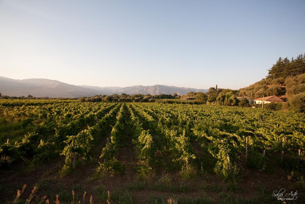 L'Antica Vigna Villa Randazzo Buitenkant foto